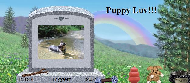Taggert's Rainbow Bridge Pet Loss Memorial Residency Image