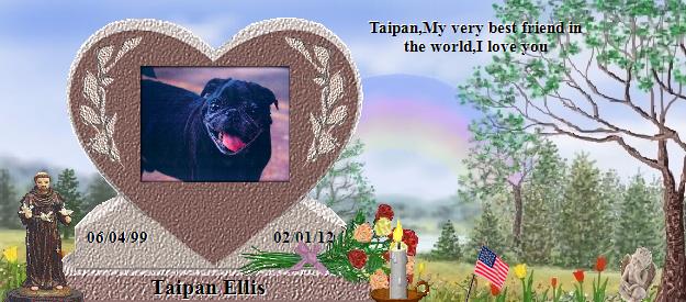 Taipan Ellis's Rainbow Bridge Pet Loss Memorial Residency Image
