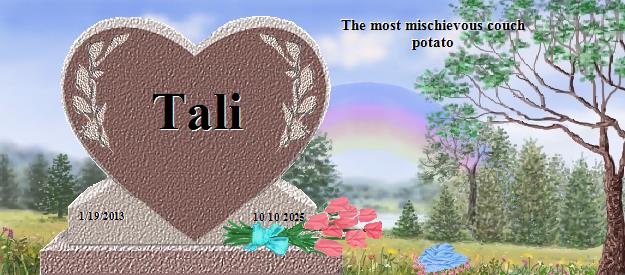 Tali's Rainbow Bridge Pet Loss Memorial Residency Image