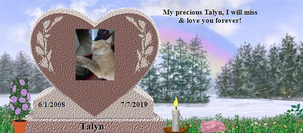 Talyn's Rainbow Bridge Pet Loss Memorial Residency Image