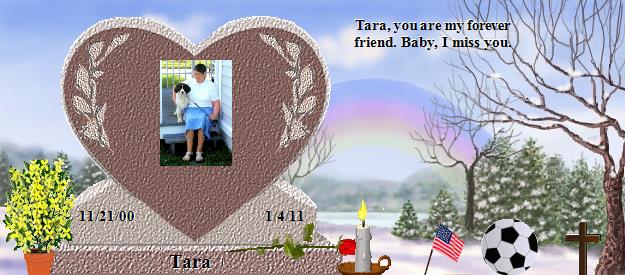 Tara's Rainbow Bridge Pet Loss Memorial Residency Image