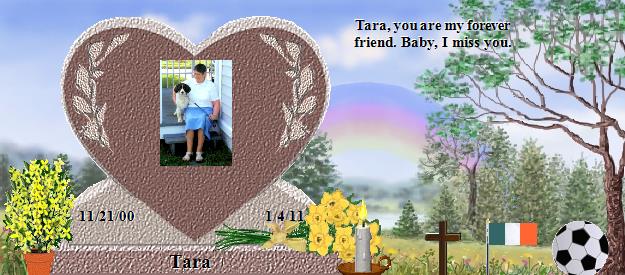 Tara's Rainbow Bridge Pet Loss Memorial Residency Image