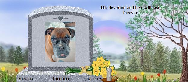 Tartan's Rainbow Bridge Pet Loss Memorial Residency Image