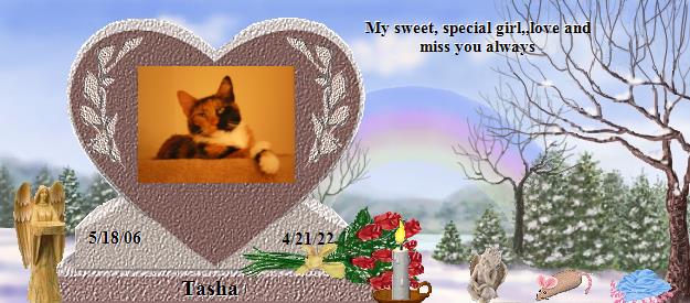 Tasha's Rainbow Bridge Pet Loss Memorial Residency Image