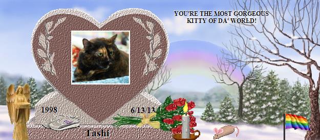 Tashi's Rainbow Bridge Pet Loss Memorial Residency Image