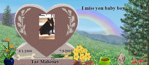 Taz-Mahoney's Rainbow Bridge Pet Loss Memorial Residency Image