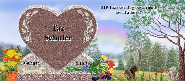 Taz Schuler's Rainbow Bridge Pet Loss Memorial Residency Image
