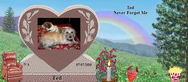 Ted's Rainbow Bridge Pet Loss Memorial Residency Image