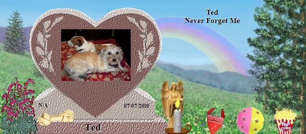 Ted's Rainbow Bridge Pet Loss Memorial Residency Image