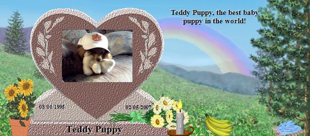 Teddy Puppy's Rainbow Bridge Pet Loss Memorial Residency Image