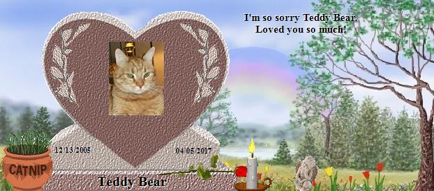 Teddy Bear's Rainbow Bridge Pet Loss Memorial Residency Image