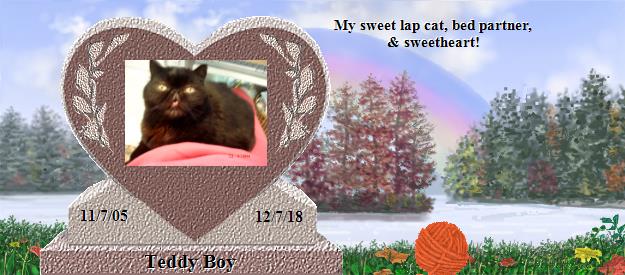 Teddy Boy's Rainbow Bridge Pet Loss Memorial Residency Image