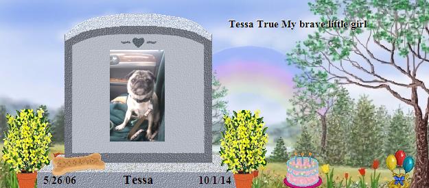 Tessa's Rainbow Bridge Pet Loss Memorial Residency Image
