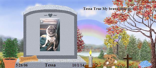 Tessa's Rainbow Bridge Pet Loss Memorial Residency Image