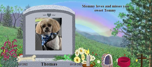 Thomas's Rainbow Bridge Pet Loss Memorial Residency Image