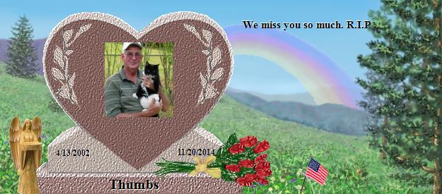 Thumbs's Rainbow Bridge Pet Loss Memorial Residency Image