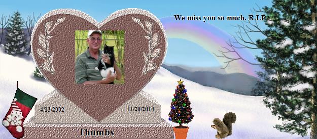 Thumbs's Rainbow Bridge Pet Loss Memorial Residency Image