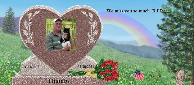 Thumbs's Rainbow Bridge Pet Loss Memorial Residency Image