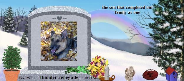 thunder renegade's Rainbow Bridge Pet Loss Memorial Residency Image