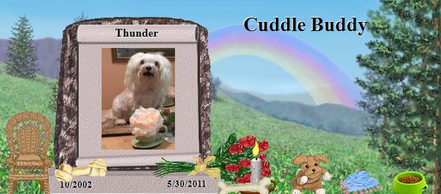 Thunder's Rainbow Bridge Pet Loss Memorial Residency Image