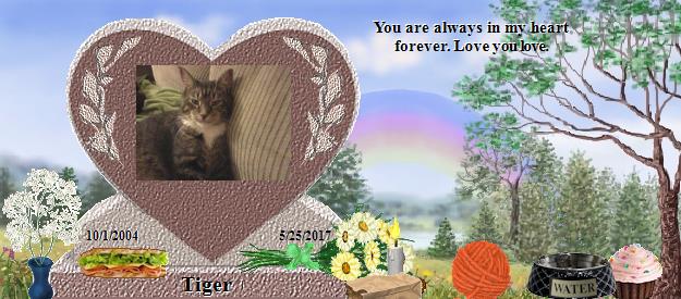 Tiger's Rainbow Bridge Pet Loss Memorial Residency Image