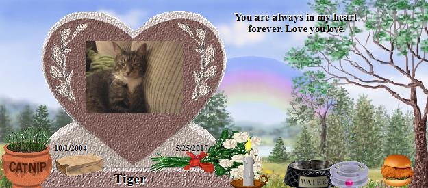 Tiger's Rainbow Bridge Pet Loss Memorial Residency Image