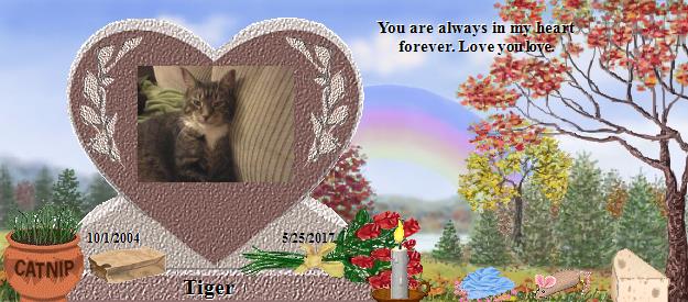 Tiger's Rainbow Bridge Pet Loss Memorial Residency Image