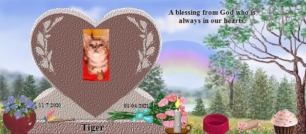 Tiger's Rainbow Bridge Pet Loss Memorial Residency Image