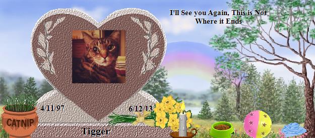 Tigger's Rainbow Bridge Pet Loss Memorial Residency Image