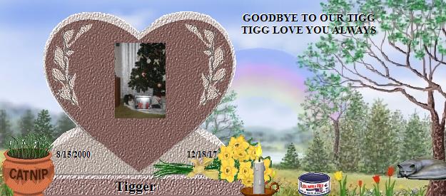 Tigger's Rainbow Bridge Pet Loss Memorial Residency Image