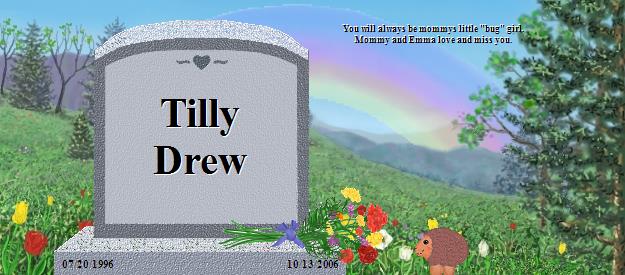 Tilly Drew's Rainbow Bridge Pet Loss Memorial Residency Image