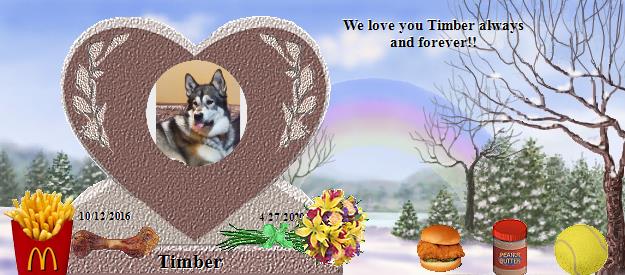 Timber's Rainbow Bridge Pet Loss Memorial Residency Image