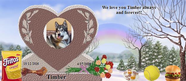 Timber's Rainbow Bridge Pet Loss Memorial Residency Image