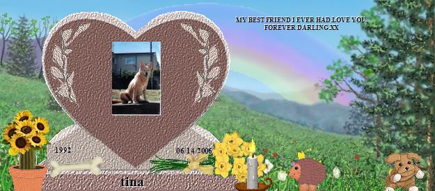 tina's Rainbow Bridge Pet Loss Memorial Residency Image