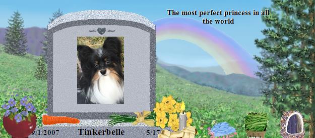 Tinkerbelle's Rainbow Bridge Pet Loss Memorial Residency Image