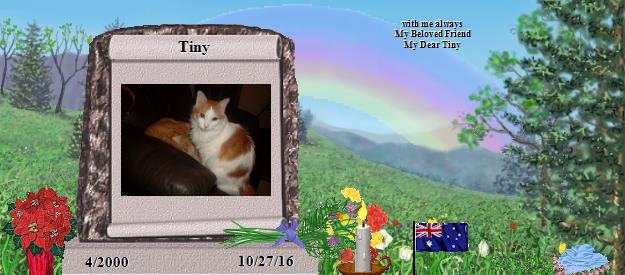 Tiny's Rainbow Bridge Pet Loss Memorial Residency Image