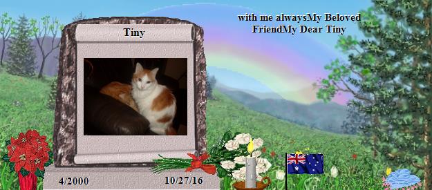 Tiny's Rainbow Bridge Pet Loss Memorial Residency Image