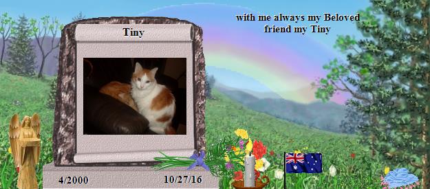 Tiny's Rainbow Bridge Pet Loss Memorial Residency Image