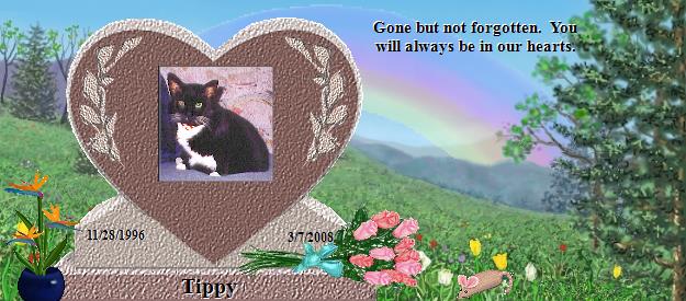 Tippy's Rainbow Bridge Pet Loss Memorial Residency Image