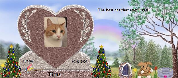 Titus's Rainbow Bridge Pet Loss Memorial Residency Image