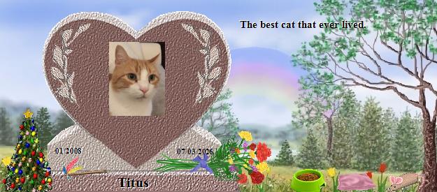 Titus's Rainbow Bridge Pet Loss Memorial Residency Image