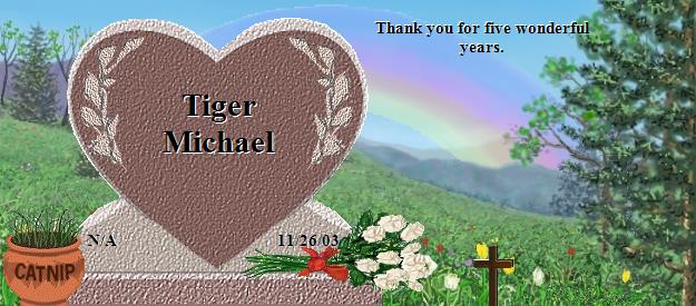 Tiger Michael's Rainbow Bridge Pet Loss Memorial Residency Image
