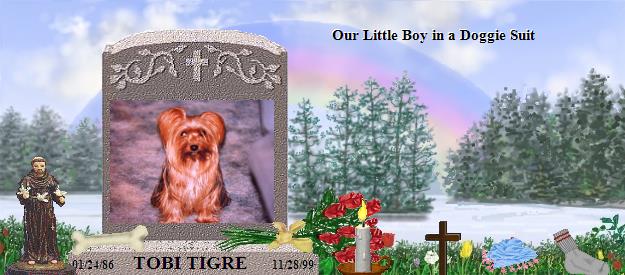 TOBI TIGRE's Rainbow Bridge Pet Loss Memorial Residency Image