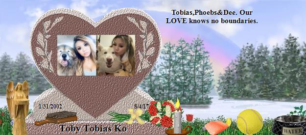 Toby Tobias Ko's Rainbow Bridge Pet Loss Memorial Residency Image