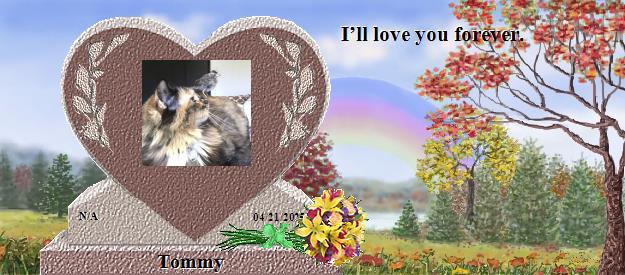 Tommy's Rainbow Bridge Pet Loss Memorial Residency Image