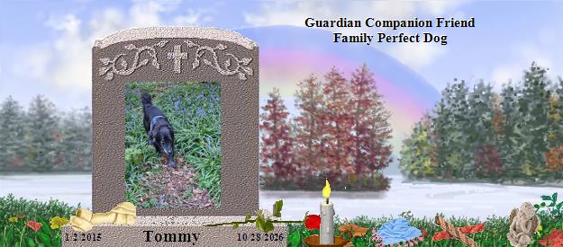 Tommy's Rainbow Bridge Pet Loss Memorial Residency Image