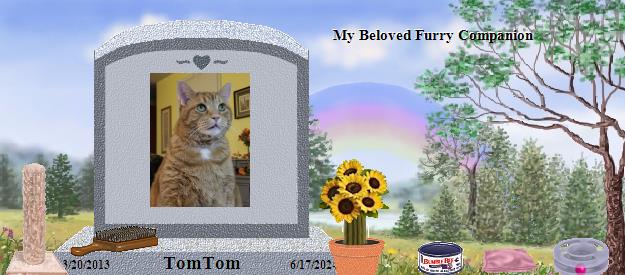 TomTom's Rainbow Bridge Pet Loss Memorial Residency Image