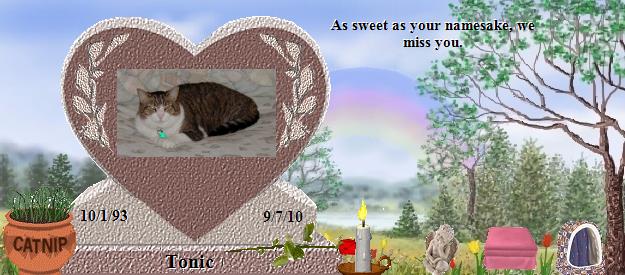 Tonic's Rainbow Bridge Pet Loss Memorial Residency Image