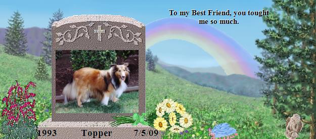 Topper's Rainbow Bridge Pet Loss Memorial Residency Image