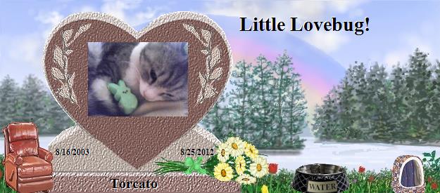 Torcato's Rainbow Bridge Pet Loss Memorial Residency Image